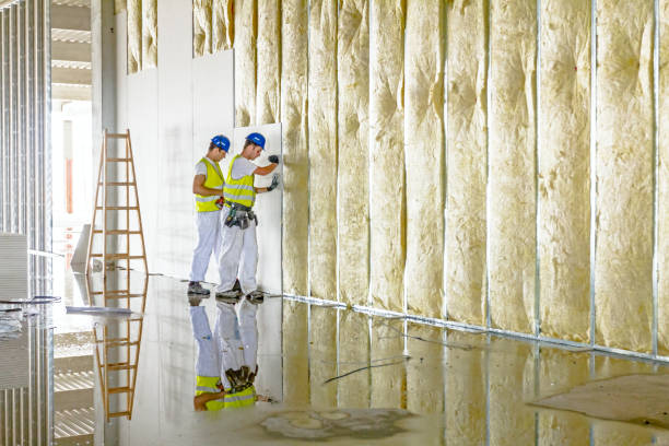 Best Insulation for Specific Applications in Colstrip, MT